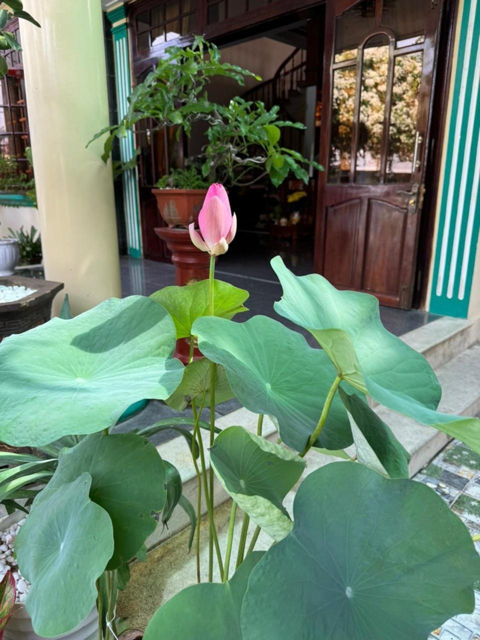 Noel Homestay Tuy Hoa Exteriér fotografie